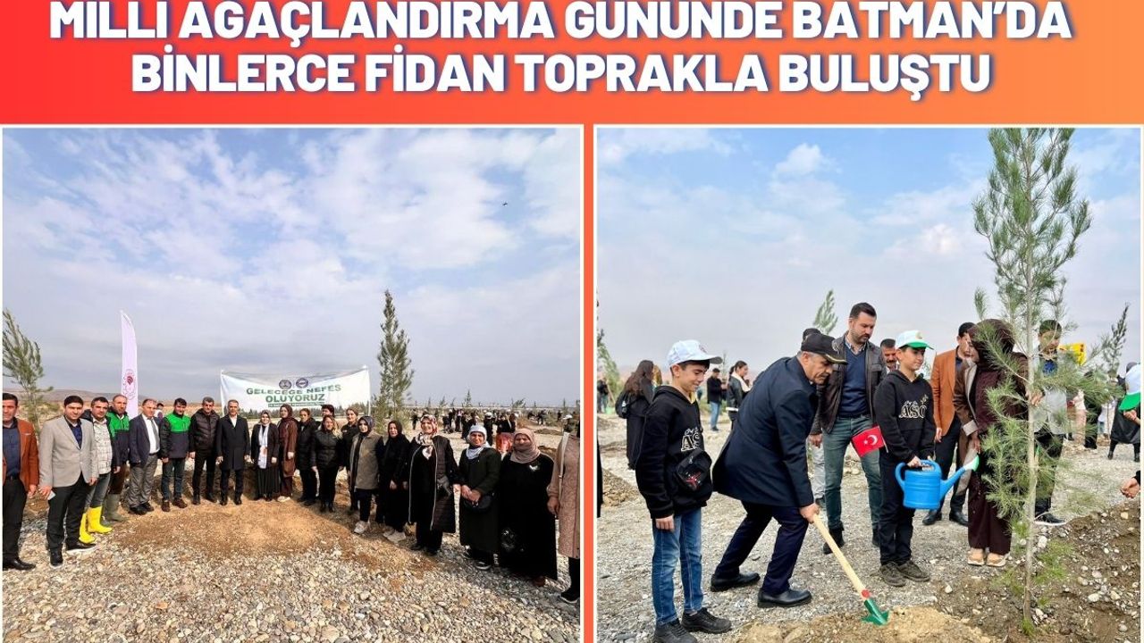 Milli Ağaçlandırma Gününde Batman’da Binlerce Fidan Toprakla Buluştu